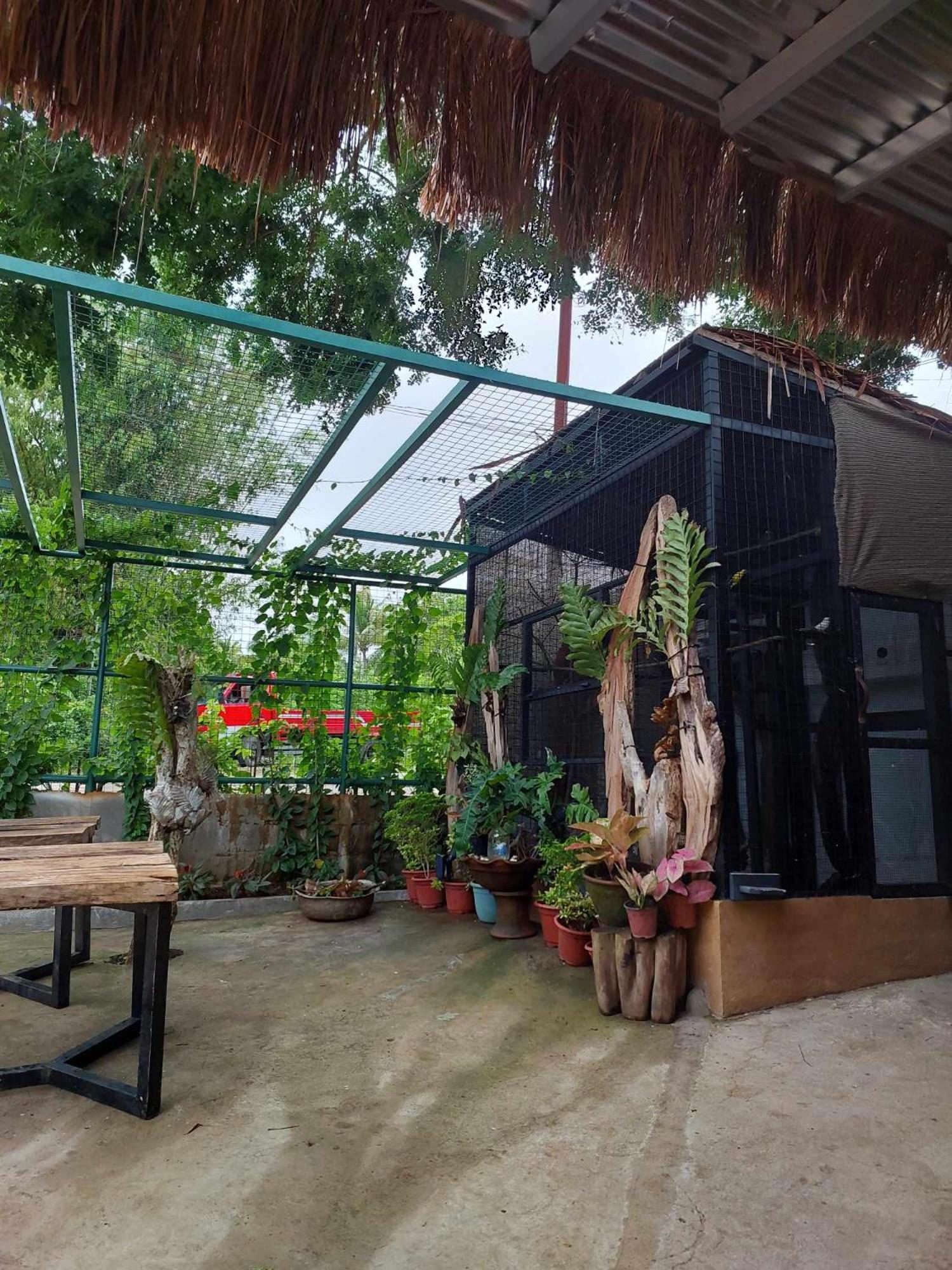 Vikings Ecolodge سان خوان المظهر الخارجي الصورة